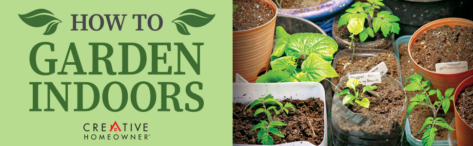 A photograph of sprouting plants alongside text, "How to Garden Indoors."