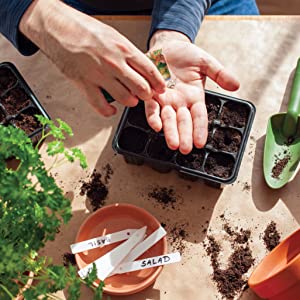  Seeds being planted into a sprouting tray filled with soil.