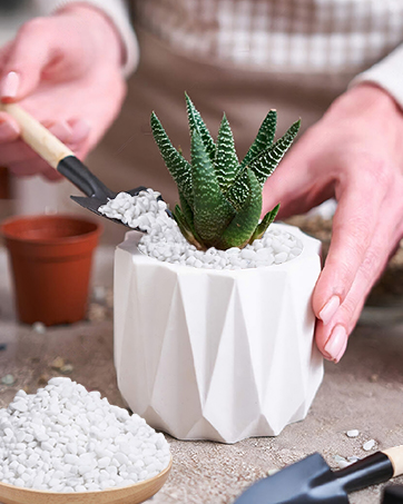 Horticultural Perlite