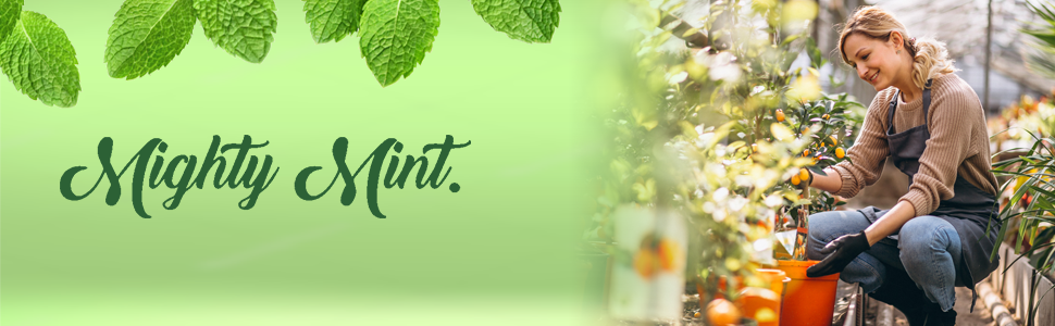 Mighty Mint Logo Plant Spray Insect Control, Miticide, and Fungicide