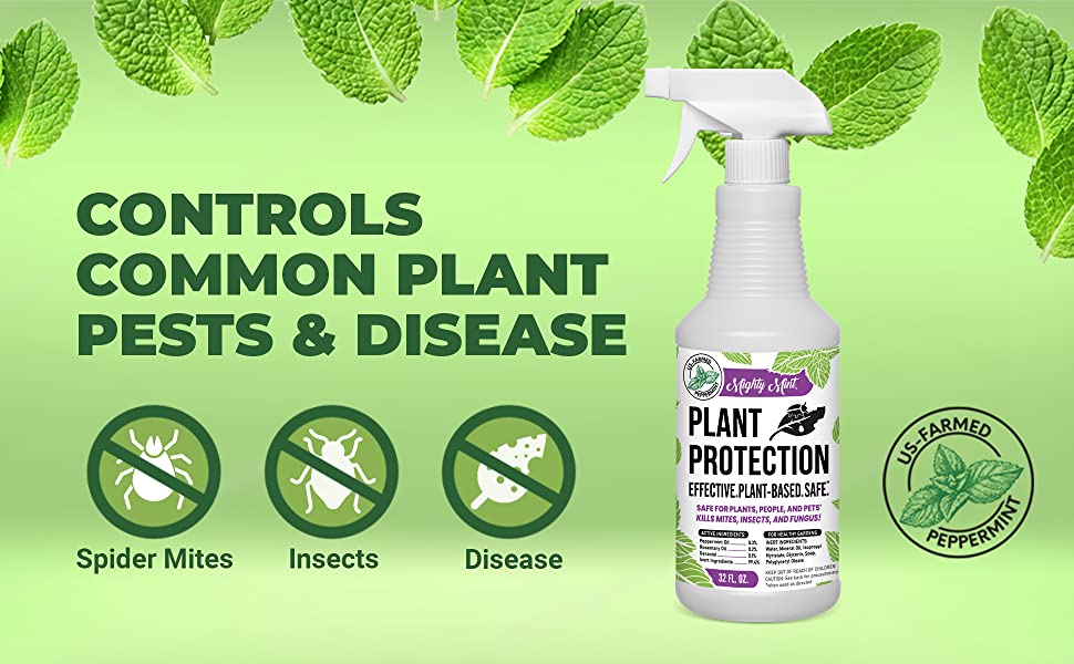 Works to kill, control, and prevent, spider mites, insects, aphids, and fungal disease