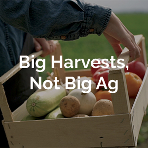 Big Harvest, Not Big Ag