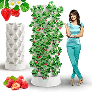 Aquaponics Hydroponics Tower Garden Herbs Net Pots Nutrabinns Nutraponics Fruits Vegetables NFT 