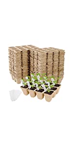 peat pot