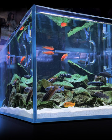 fish tank light