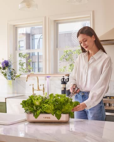 herb garden