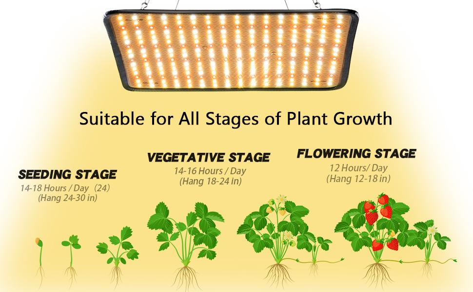 plant grow lights indoor