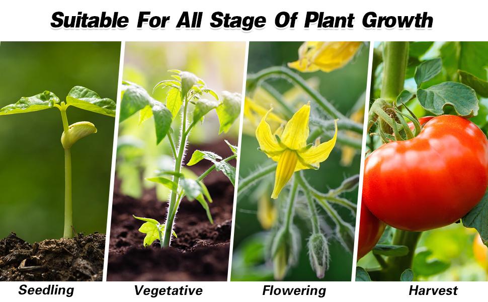 grow light for indoor plants