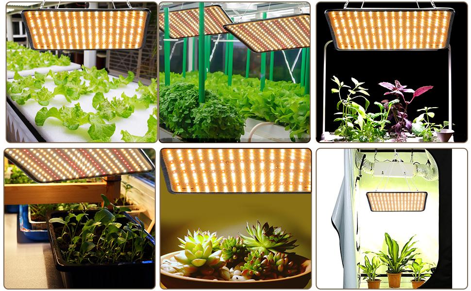 grow light