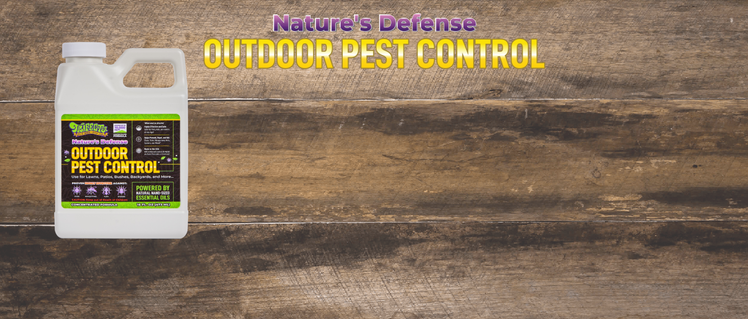 Pest Control