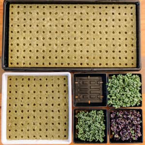 Materials for a hydroponic garden.