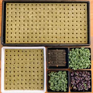 Materials for a hydroponic garden.