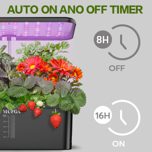 Automatic light timer