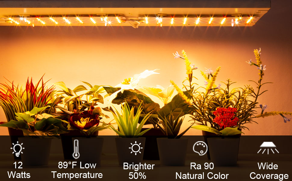 grow lights for indoor plants