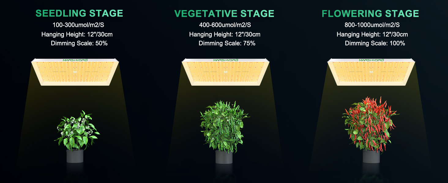 led grow light for 4 x 4