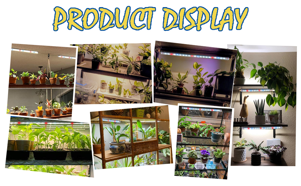 plant grow light