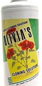 hydroponic cloning solution