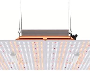 hydroponic grow lights