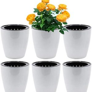 hydroponic pots