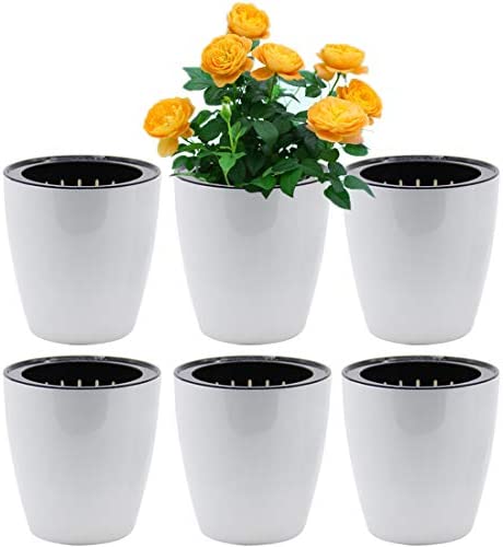 hydroponic pots