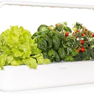 hydroponic gardening tools