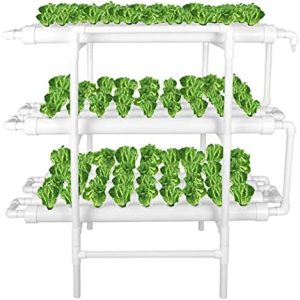 hydroponic co2 kit