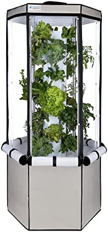 hydroponics reflection paper