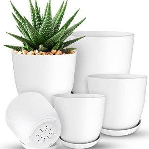 plant pots