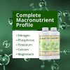 Humboldts Secret Base A & B Bundle – World's Best Base Nutrient System – Liquid Nutrient/Fertilizer for Outdoor & Indoor Plants – Supports Vegetative and Flowering Stages of Plants – Set of Quarts - Image 2