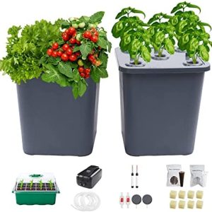 hydroponic co2 kit