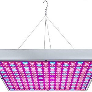 hydroponic grow lights led