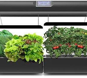 hydroponics reflection paper