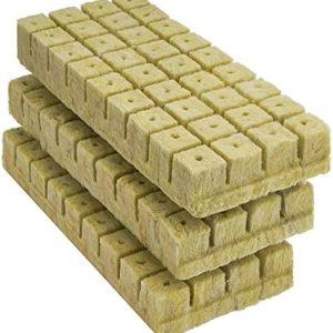 hydroponic rockwool