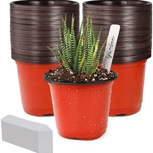 plant pots