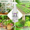Mighty Mint 32oz Plant Protection Peppermint Spray for Spider Mites, Insects, Fungus, and Disease - Image 4