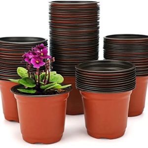 plant pots