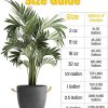 Humboldts Secret Golden Tree: Best Plant Food for Plants & Trees - All-in-One Concentrated Additive - Vegetables, Flowers, Fruits, Lawns, Roses, Tomatoes & More (1 Gallon) - Image 3