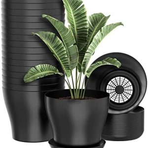 plant pots