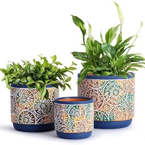 plant pots