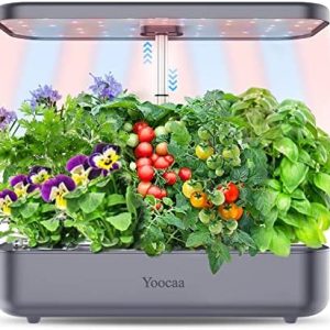 hydroponics reflection paper