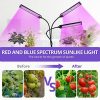 Grow Light for Indoor Plants - Adjustable Gooseneck Growing Light Strip W/9 Dimmable Red Blue Spectrum 3 Modes Auto ON/Off 3/9/12H Timer for Flower Greenhouse Veg Hydroponic Succulent Potted Growth - Image 4