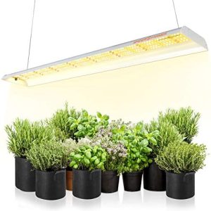 hydroponic grow lights led