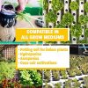 Humboldts Secret Golden Tree: Best Plant Food for Plants & Trees - All-in-One Concentrated Additive - Vegetables, Flowers, Fruits, Lawns, Roses, Tomatoes & More (1 Gallon) - Image 6