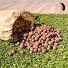 PGN Clay Pebbles for Hydroponic Growing - 10 Liters (4 Pounds) - Organic Expanded Clay Balls for Plants - PH Neutral Leca for Plants - Aquaponics and Hydroponics Supplies in a Resealable Storage Bag - Image 2