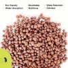 PGN Clay Pebbles for Hydroponic Growing - 10 Liters (4 Pounds) - Organic Expanded Clay Balls for Plants - PH Neutral Leca for Plants - Aquaponics and Hydroponics Supplies in a Resealable Storage Bag - Image 5