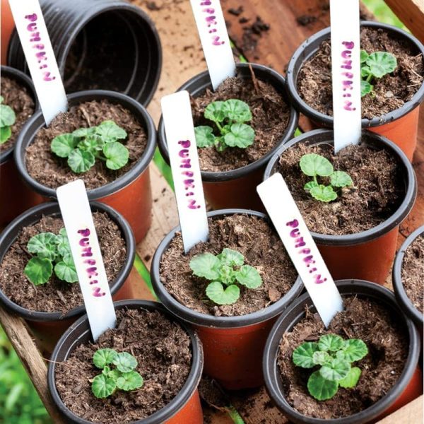 TDHDIKE 4" Plant Pots Small Plastic Plants Nursery Pot/Pots (100pcs) - Image 7