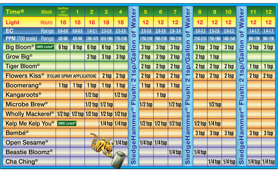 feeding chart