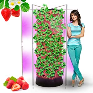Nutrabinns Hydroponics Growing System with LED Grow Lights Nutraponics Lettuce Grow Herb Garden 