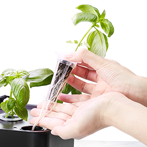 hydroponic growing system