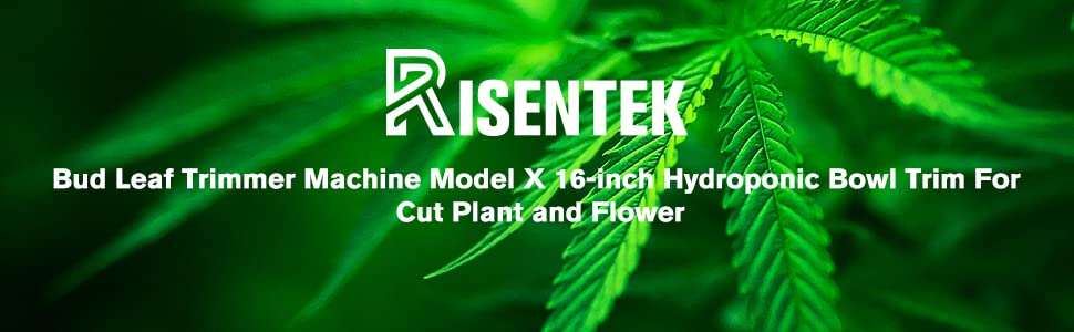 Risentek Bud Leaf Trimmer Machine-1